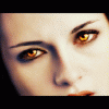 http://stmivani-ff.cz/gallery/6907c054275886.gif