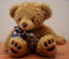 /gallery/Teddy_Bear_90_flash.jpg